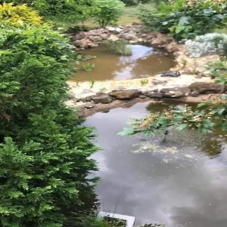Gartenwohnung In Hasselfelde, Cleaning Included 펜션